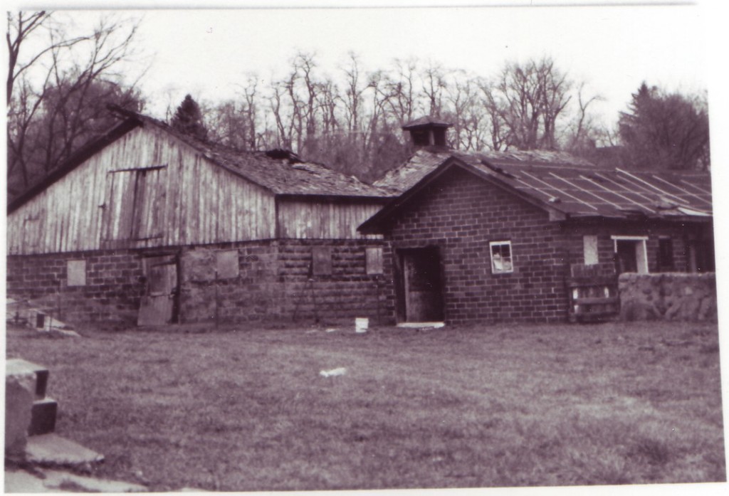 calf barn west side